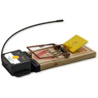 Trapmate Join Plates for Jawz and T-Rex Traps (25-pack)