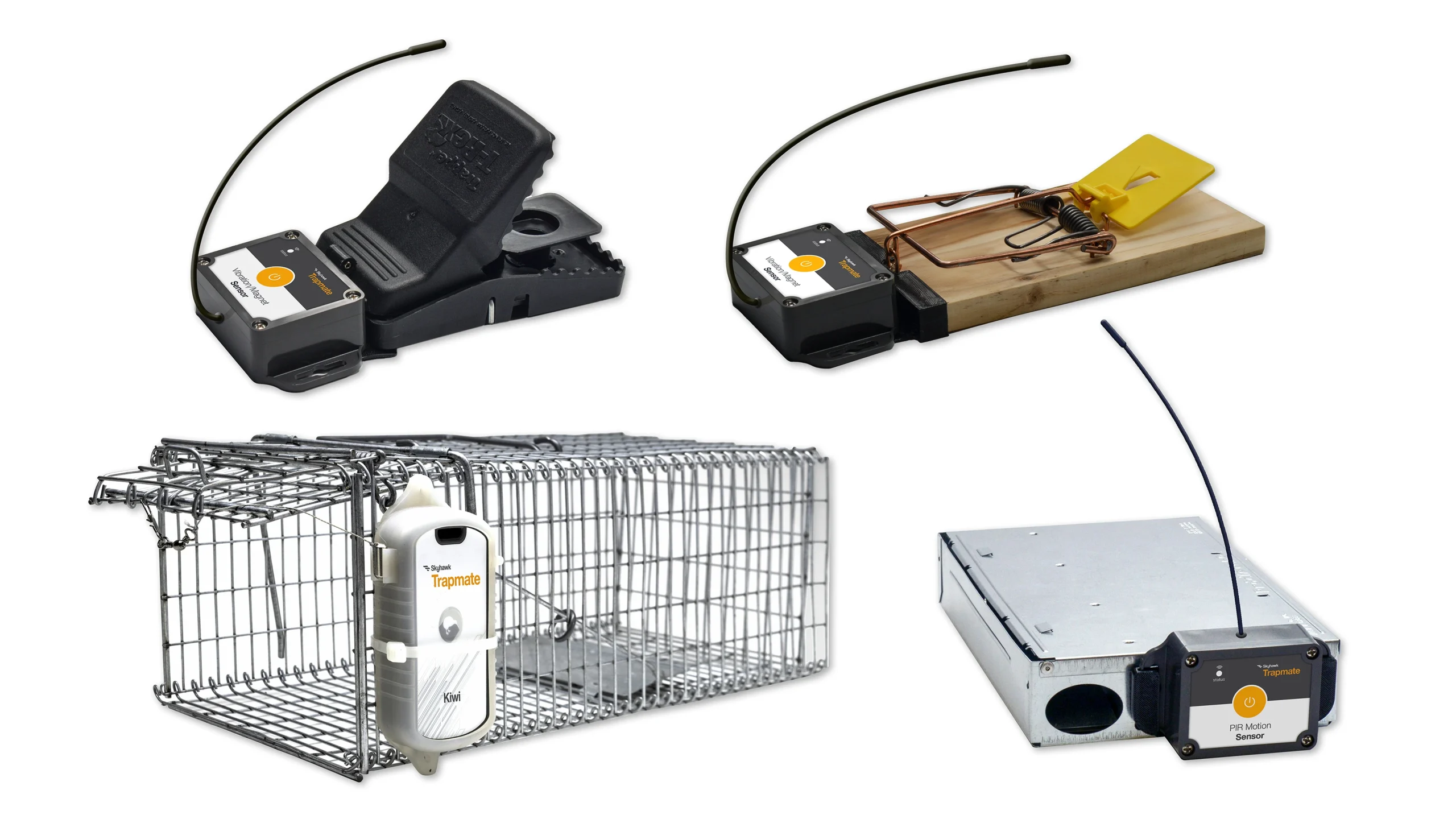 Remote Monitoring for Every Type of Trap